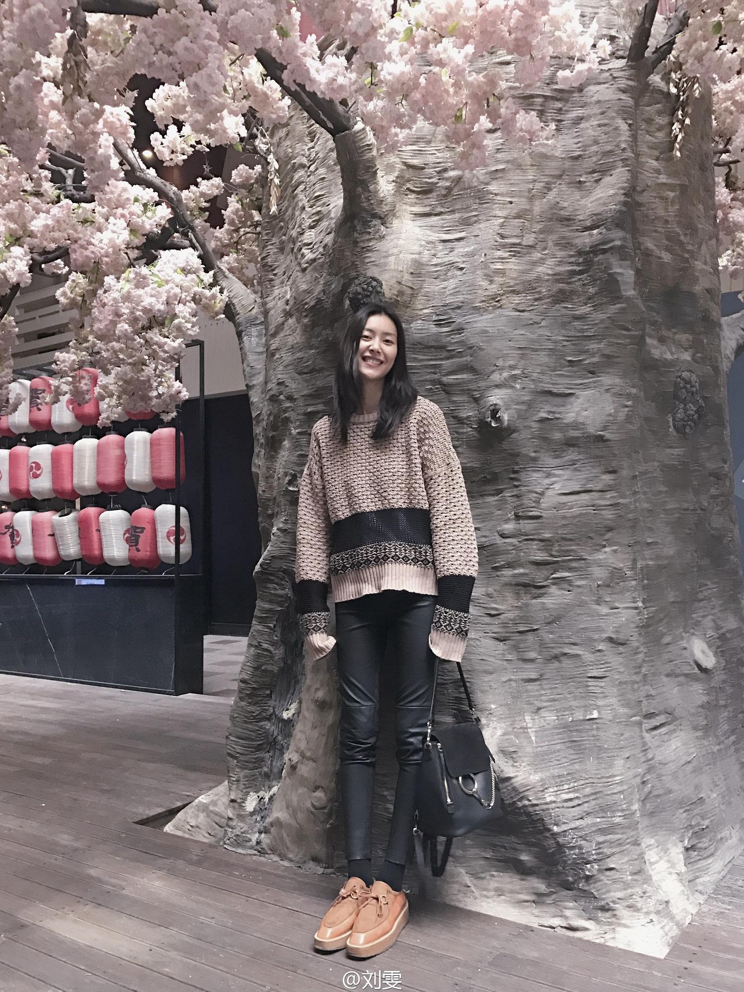 Chloe下个大火的包是哪只?看高圆圆背的就知道