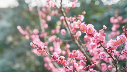 朱丹、孙怡怀孕四肢仍纤细,她们是怎么做到怀孕只胖肚子的?
