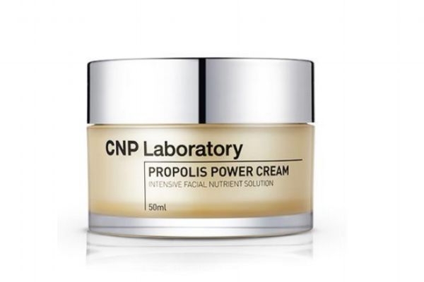 cnp佺˪ô cnp佺˪ĹЧ