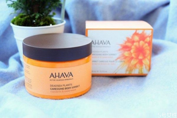 ahavaô ahava鱣ڶ