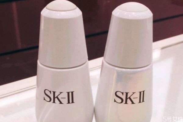 sk2Сݻᵼ¹ sk2Сӫ