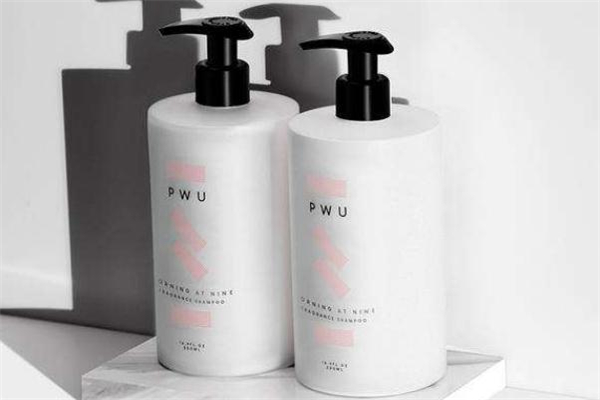 pwuϴˮʲô pwuϴˮʲôҵ