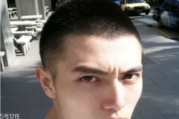 2019 2019з