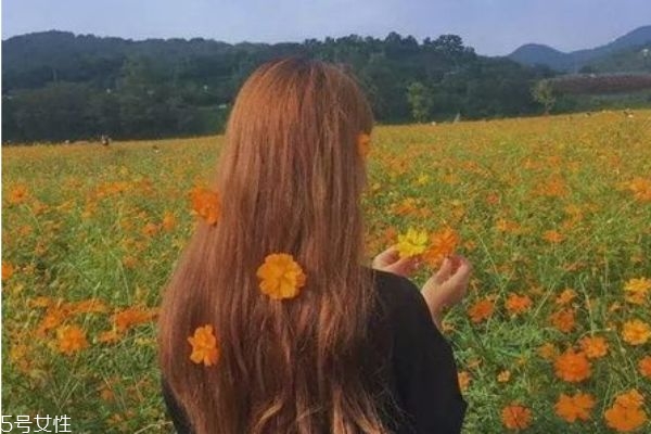 2019곬԰׵ļɫ 2019԰׷ɫƼ