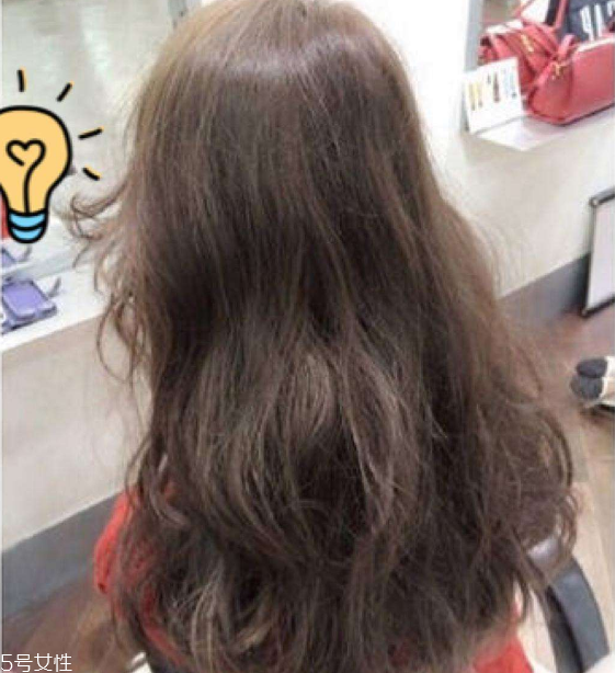 Щ 2019곤