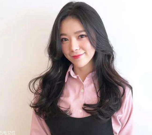 Щ 2019곤