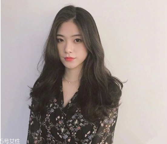 Щ 2019곤
