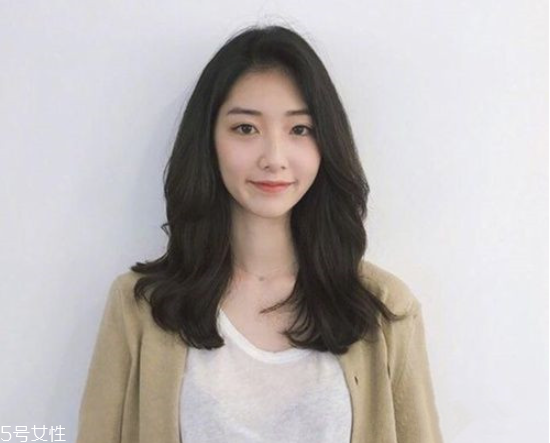 Щ 2019곤