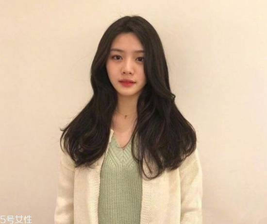 Щ 2019곤