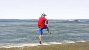 gta5·