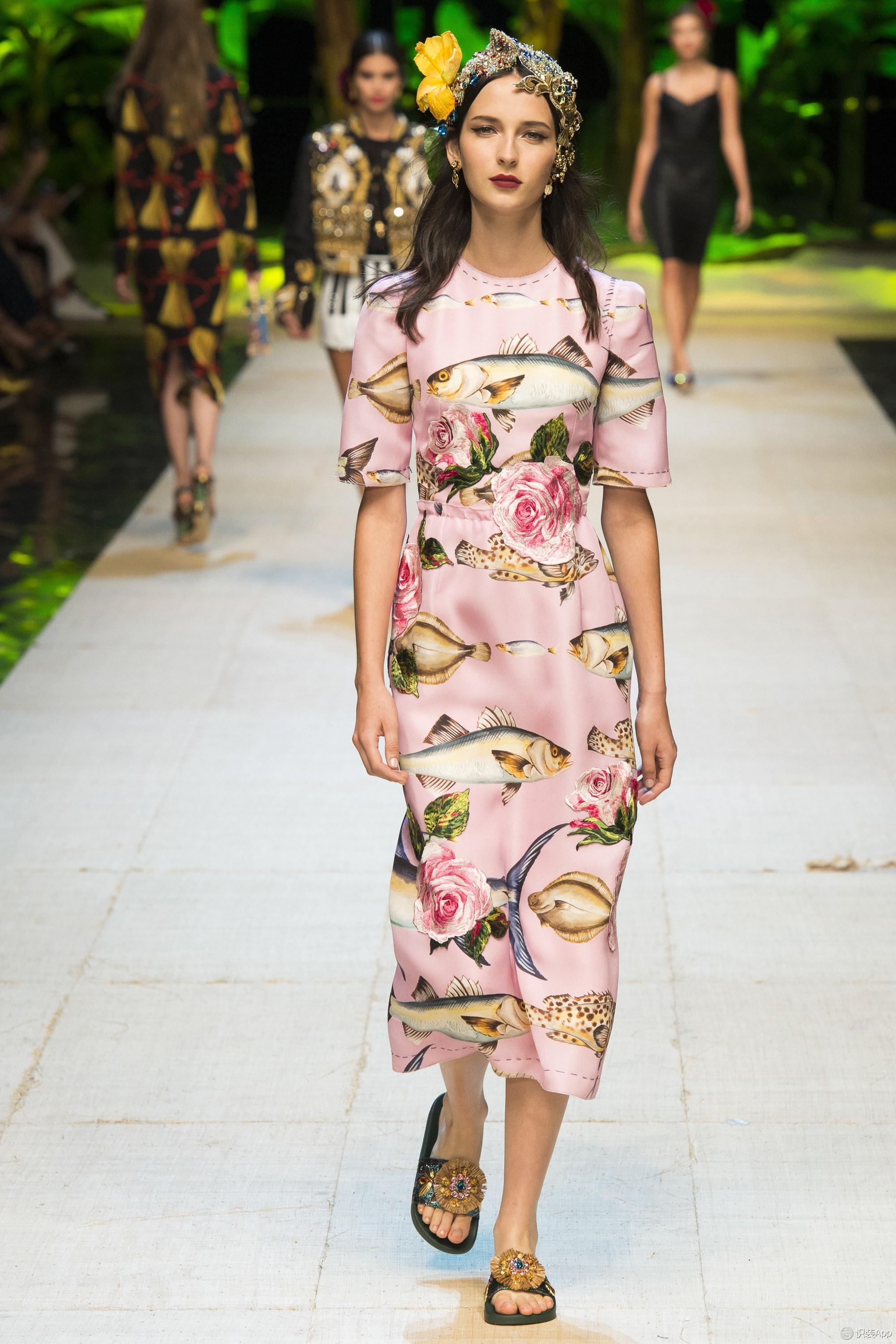 ʳDolce&Gabbanaƽ