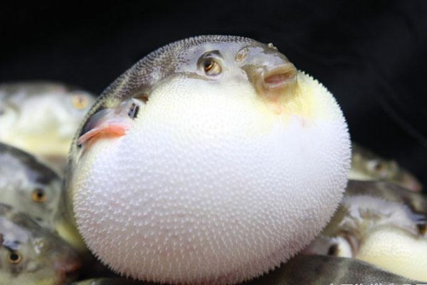 ͺĸԴ ʲôλж