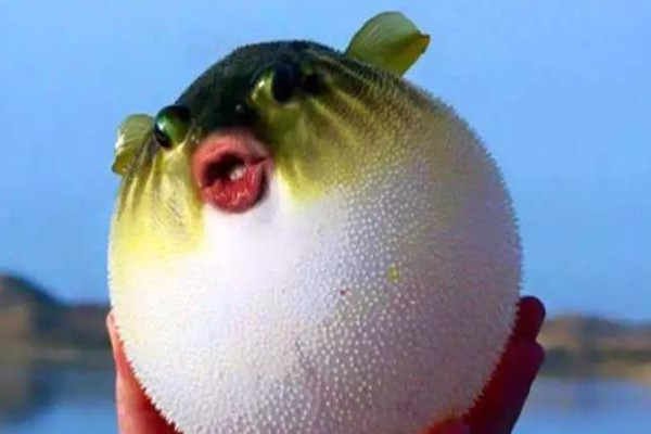 ͺĸԴ ʲôλж
