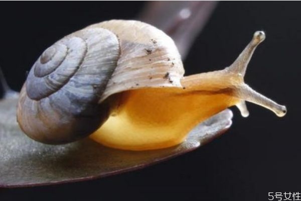 ţЧ ʲôţ