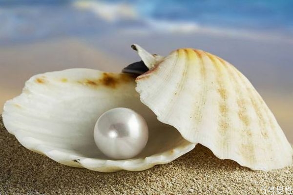 Ŀ Ϊʲôۿ