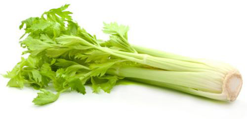 10ֳǿļʳ ԽԽݣ