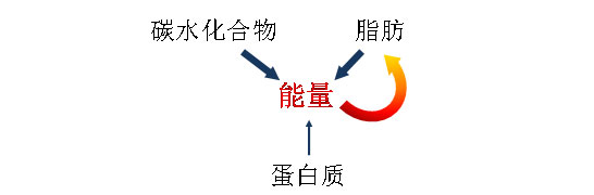 ʳеԴ