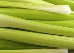 200·ʳʲô