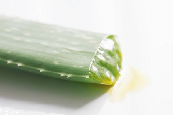Լ«ֱͿ 