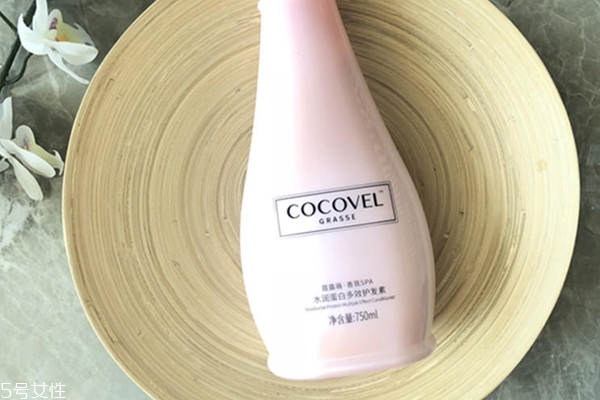cocovelˮϴˮô Ů