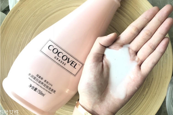 cocovelˮϴˮô Ů