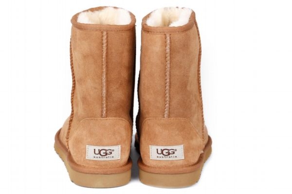 uggЬô uggЬˮӡδ