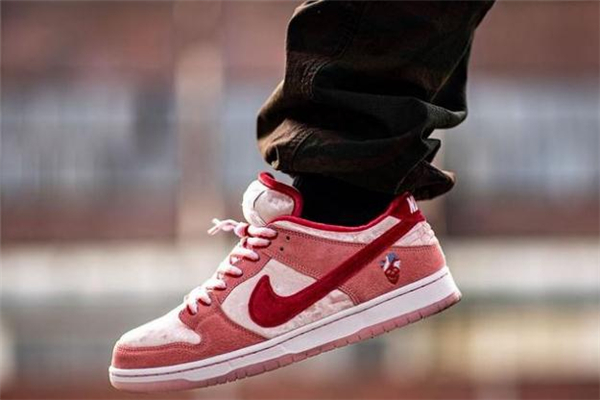 nike dunk sb˽ٶԱ Ϳdunk˽ڷۼ۸
