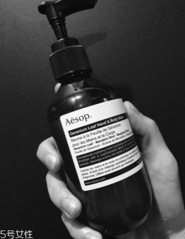 ޢĸ aesop