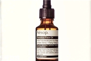 ¶Ǯ aesop¶ʺϷ