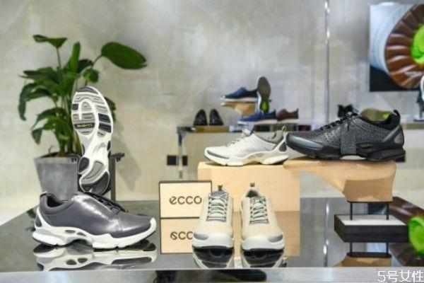 eccoʺʲôȺ eccoƷƽ