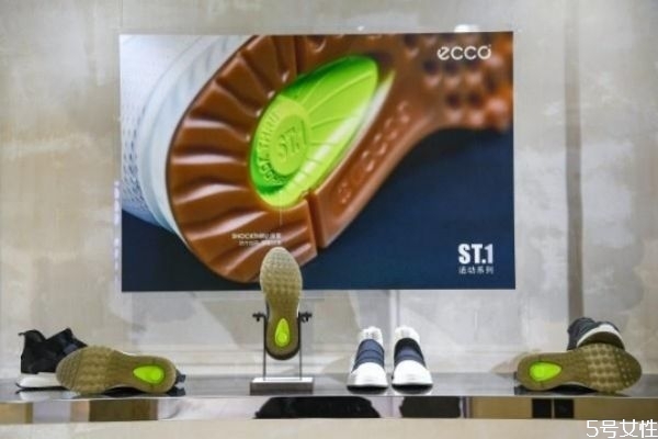 eccoʺʲôȺ eccoƷƽ