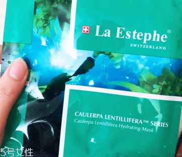 laestephe˹ʲôӣĹ