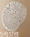 ճĤôЧĤ͸ϴ