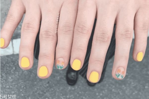  еͼƬ