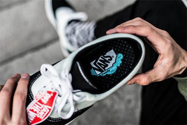 vans comfycushô vansȫ¿Ƽ
