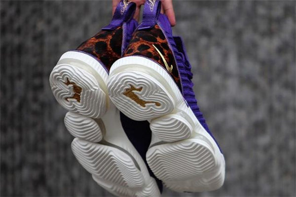nike lebron16ղķ˹16ٶԱ ٻһϳ