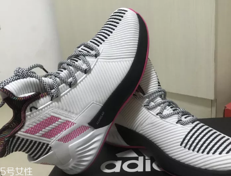 adidas d rose 9˹9ʵս ֵǩЬ