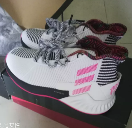 adidas d rose 9˹9ʵս ֵǩЬ