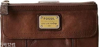 fossilǮôfossilǮƤ