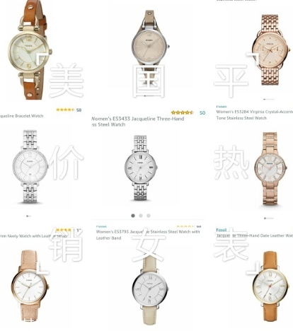fossilֱǮfossilֱ۸