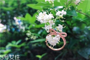 ָˮô죿ָˮô