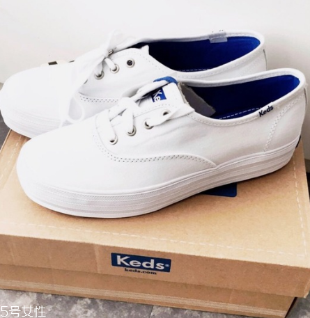 kedsЬƫkedsЬѡ