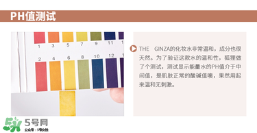 theginzaױˮôthe ginzaױˮ
