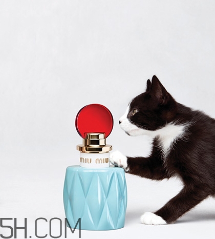miumiuˮʱ miumiuˮ