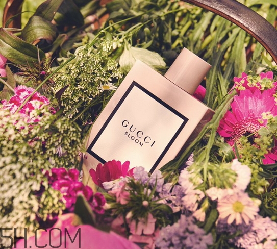 gucci bloomˮgucci bloomˮ