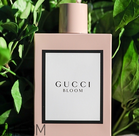 gucci bloomˮǮgucci bloomˮר۸