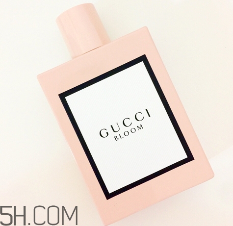 gucci bloomˮǮgucci bloomˮר۸