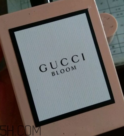 gucci bloomˮ gucci bloomˮټ