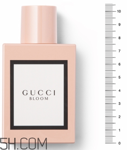 gucci bloomˮ gucci bloomˮټ