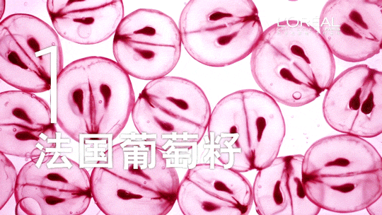 ŷˮǮŷˮר۸